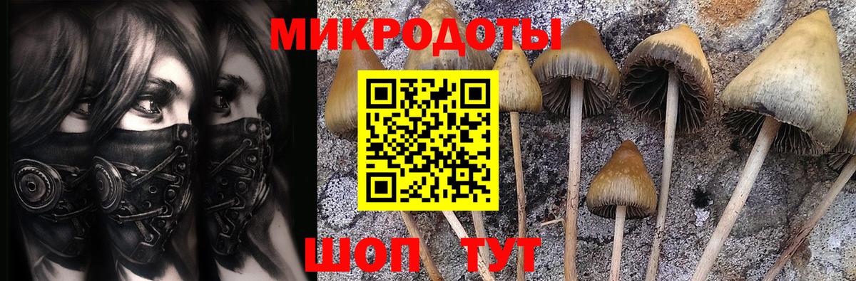 Приморско-Ахтарск  Бошки Шишки  Каннабис  Вход с VPN  Метадон  МЕФ   МЕТАМФЕТАМИН  ГАШИШ  COCAIN 