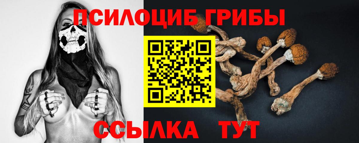 Галлюциногенные грибы Magic Shrooms  Вход с VPN  где купить наркоту  Галлюциногенные грибы ЛСД  Приморско-Ахтарск 